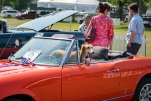 Horses and Horsepower Car Show on Sunday.jpeg
