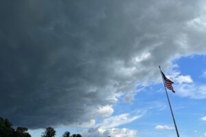 Storm culpeper