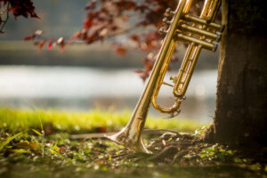 Jazz Trumpet Nature