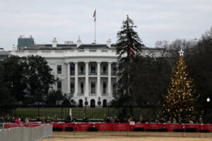 Washington Christmas Tree