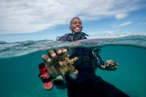 APTOPIX Climate Dominican Republic Coral
