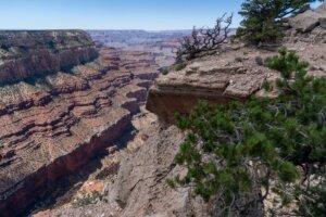 Grand Canyon Hotels