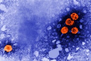 Hepatitis B Study