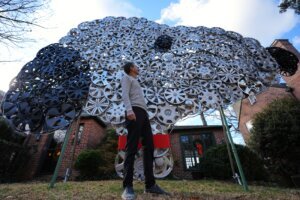 Hubcap Artist