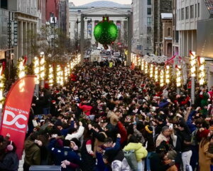 Mistletoephoto