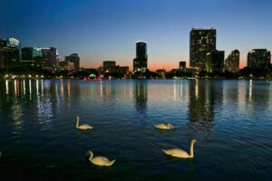 Orlando Swan Deaths