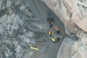 Quicksand Rescue