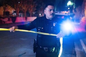 Rob Reiner Investigation