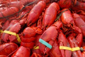 Stolen Seafood