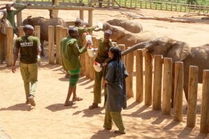 Travel Kenya Safari with a Purpose