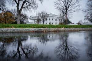 White House Website Livestream