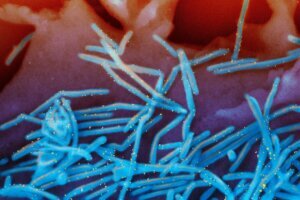 Winter Viruses