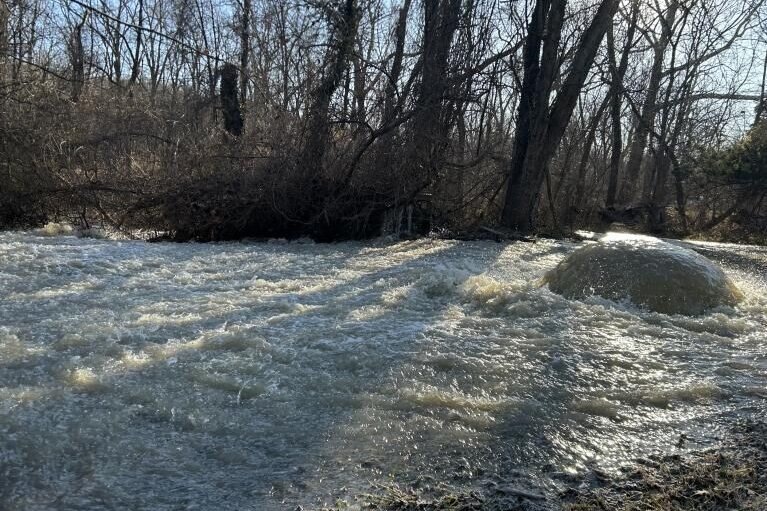 Sanitary sewer overflow coming from the Potomac Interceptor