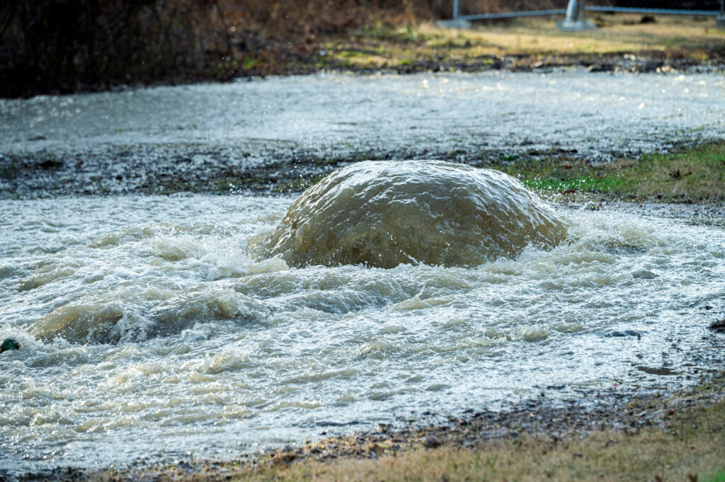 Potomac River Sewage