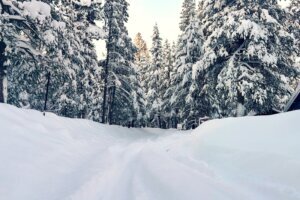 California Avalanche