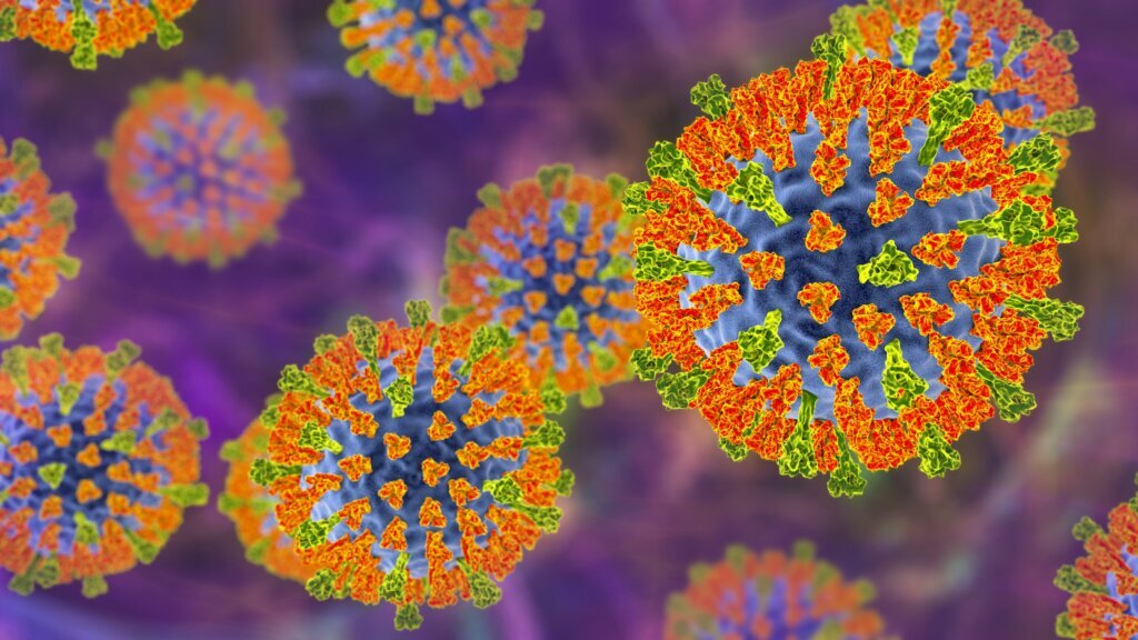 Measles virus, illustration