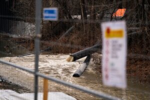 DC Mayor Asks Trump For Disaster Declaration Over Potomac Spill