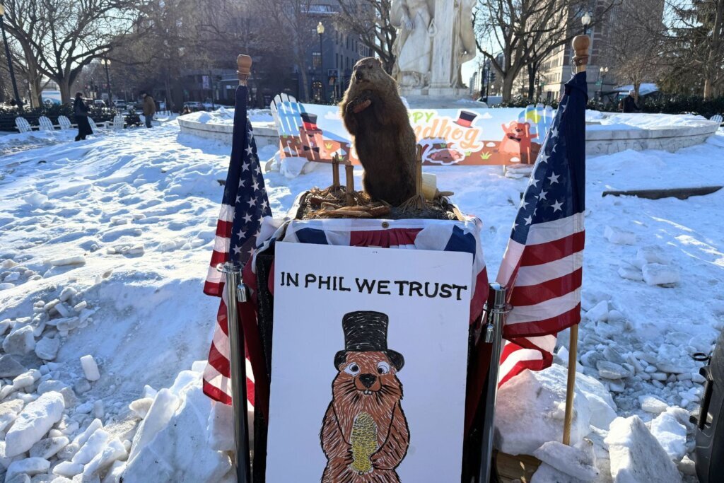 Groundhog dupont