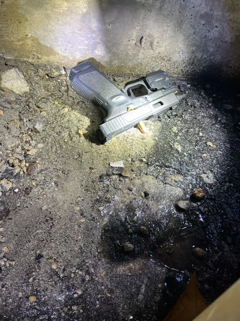 Gun