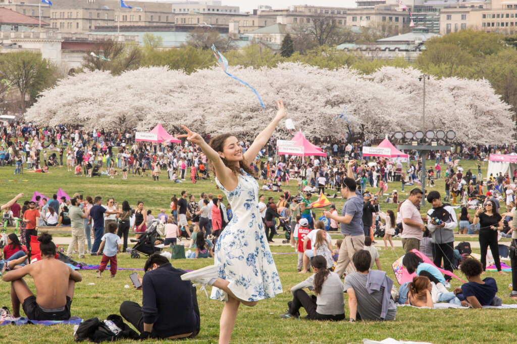 The 2025 Blossom Kite Festival