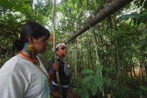 APTOPIX Climate Ecuador Amazon Oil