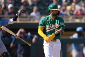 Brewers Athletics Spring Baseball