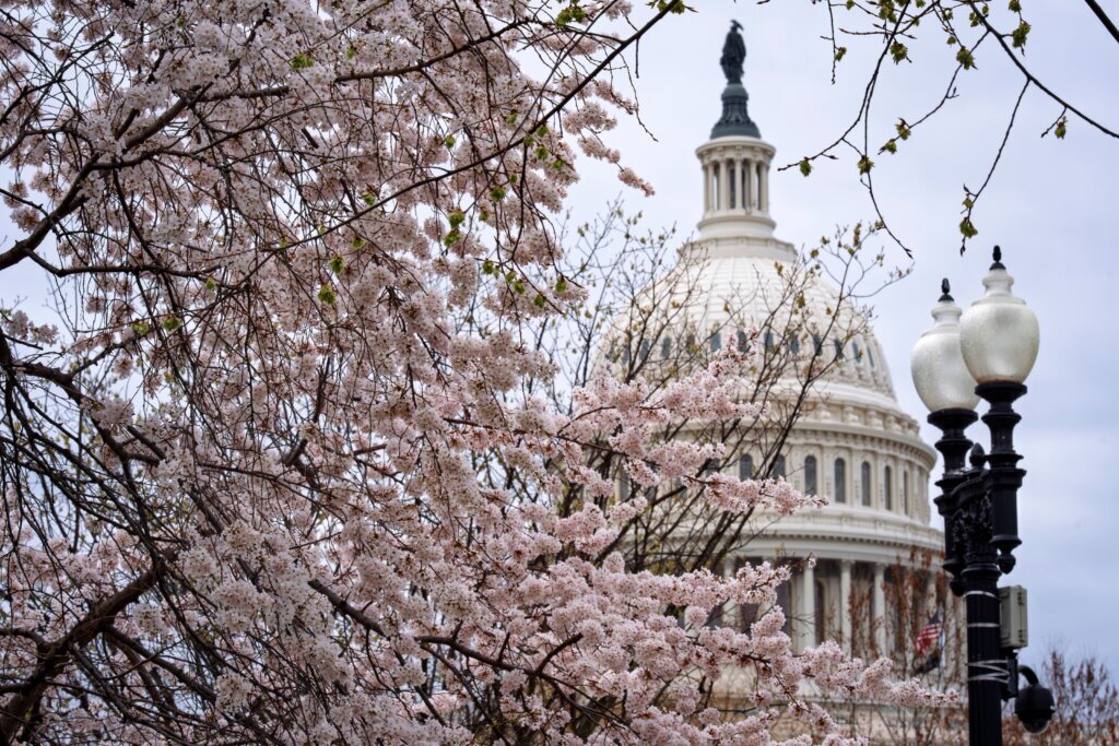 Congress