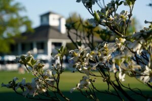 Golf Master New Digs
