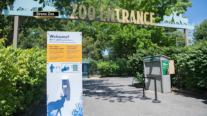 Bronx zoo