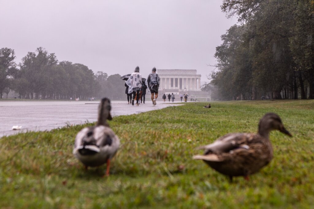 Tropical Storm System Brings Heavy Rain And Wind To D.C.