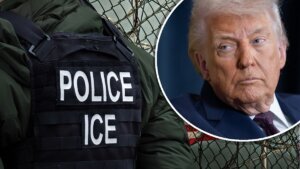 Ice trump tlmd