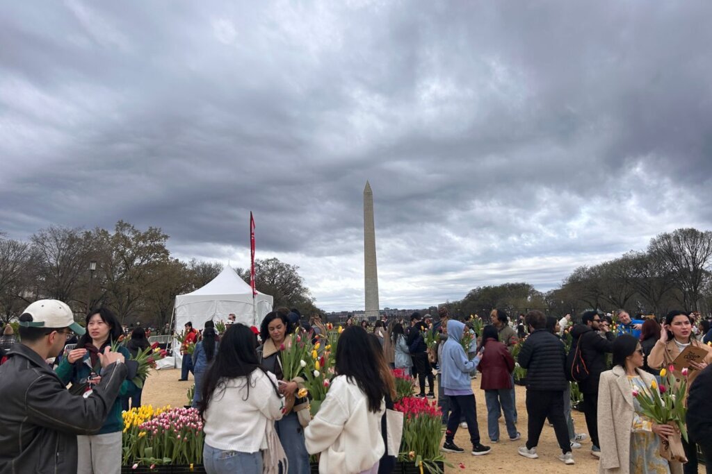 Tulip day