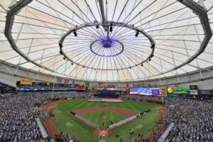 APTOPIX Cubs Rays Baseball