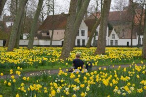 Europe Belgium Beguinages