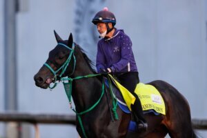 Kentucky Derby Horse Racing