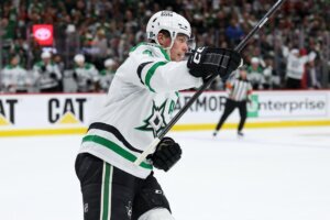 Stars Wild Hockey