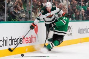 Wild Stars Hockey