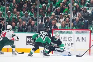 Wild Stars Hockey