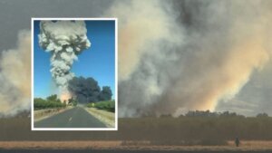 Explosion esparto