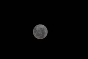 Artemis II Launches Manned Test Flight Around The Moon