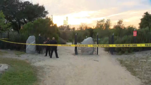 Long beach human skull found
