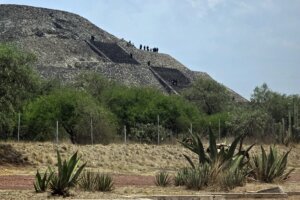 MEXICO CRIME SHOOTING 2271736939 Getty