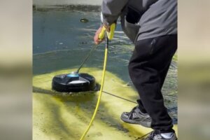 Pool cleanup (1)
