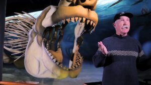 The Megalodon could become Maryland's official shark