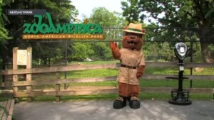 Zoo america