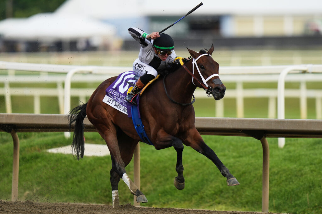 Black Eyed Susan Horse Racing