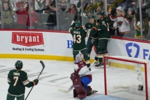 Avalanche Wild Hockey
