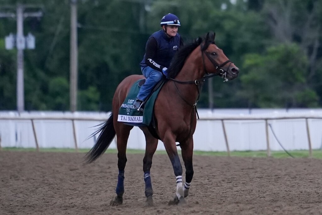 Black Eyed Susan Horse Racing
