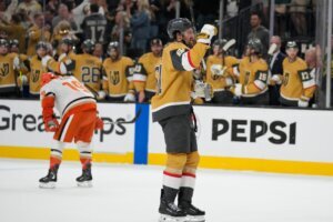 Ducks Golden Knights Hockey