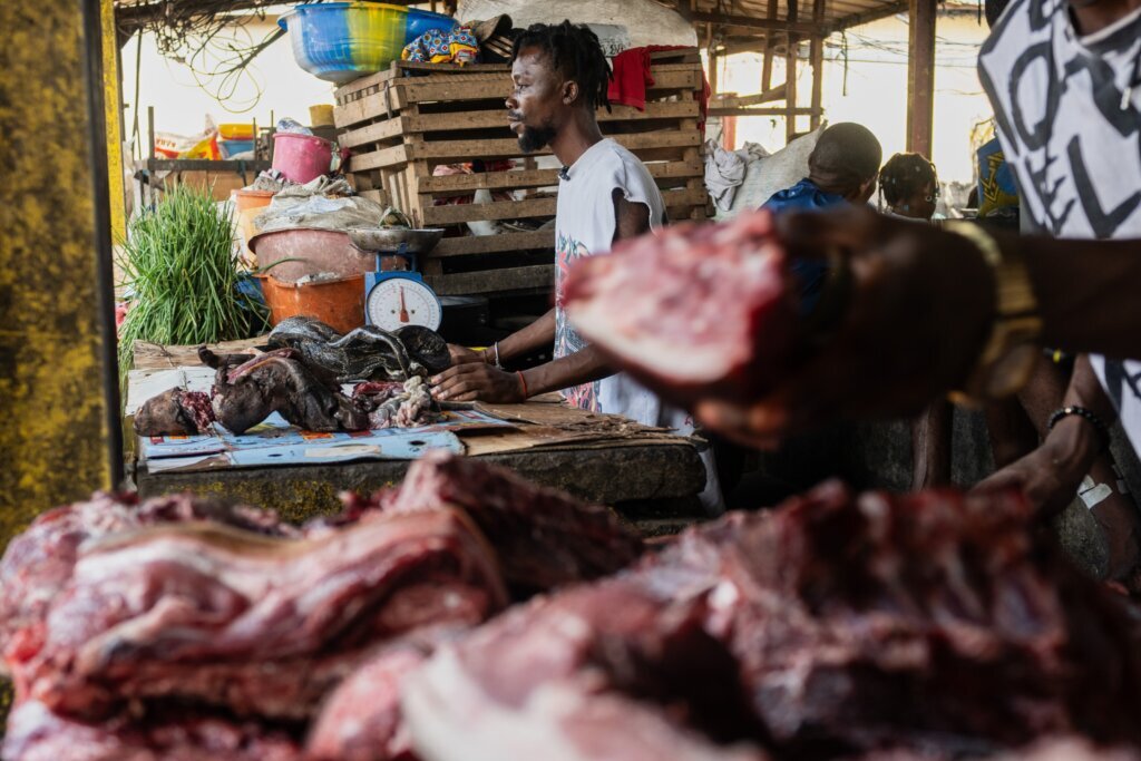 Ebola Wild Meat